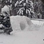 Konkurs Najpiękniejsza rzeźba w śniegu