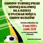 Biblioteka i Ośrodek Animacji Kultury Gminy Budzów zaprasza dzieci z Gminy Budzów na Gminny Turniej Piłki Nożnej Halowej o Puchar Wójta Gminy Budzów. Turniej odbędzie się 17 maja 2025r. o godz. 13.30 na Hali Sportowej BiOAK w Budzowie. Serdecznie zapraszamy! W razie pytań prosimy o kontakt: tel. 33/874 01 35, kom. 887 505 053 lub e-mail: bibpalcza@interia.pl