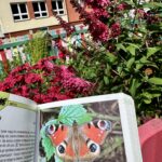 Spotkanie czytelnicze w Gminnej Bibliotece Publicznej w Budzowie