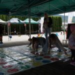 Dzień Dziecka z Biblioteką i Ośrodkiem Animacji Kultury Gminy Budzów 2026