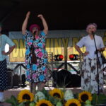 Dni Gminy Budzów 2026